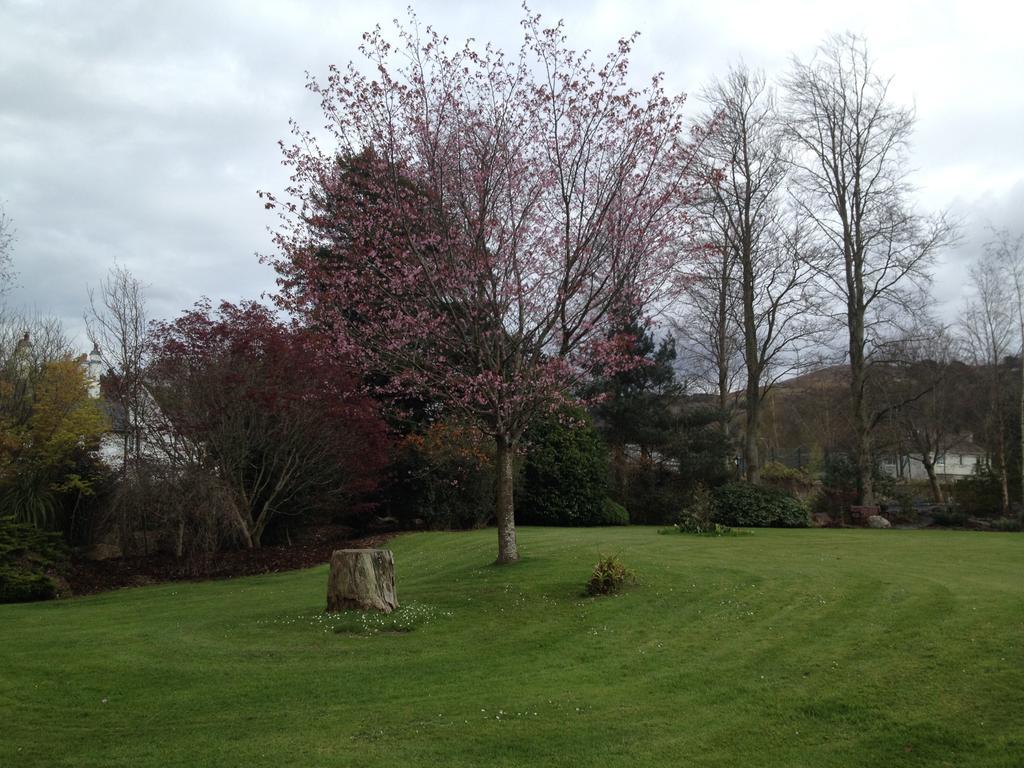 Raheen House Hotel Clonmel Esterno foto